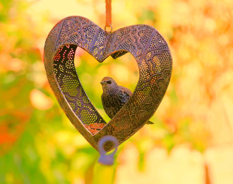 Green Cuisine liebt Natur und seine Vögel